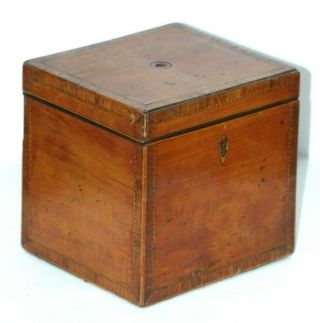 Large Antique Georgian Single Tea Caddy / Box Satinwood? Circa 1780?
