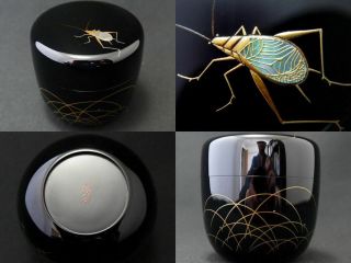 Japanese Wajima Lacquer Wooden Tea Caddy Bell Cricket Makie Natsume (405)