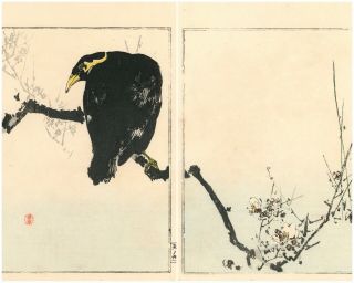 ☆rare Gem☆ 19th Century Watanabe Seitei (shotei) Woodblock Print ☆myna Bird☆