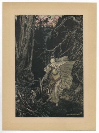 Antique 1919 Arthur Rackham Art Nouveau Color Print Dark Fantasy Undine Forest