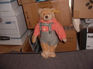 Vintage Steiff German Boy Teddy Bear 0276/28 11 " Tall With Button On Ear