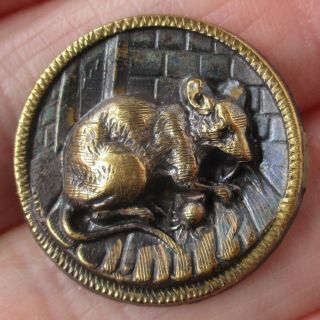 7/8 " Antique 2 - Piece Brass Button,  " Rat In The Cellar " Bbb Page 438,  14