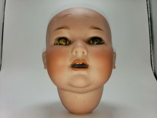 Antique Armand Marseille George Borgfeldt Mold 327 Baby Doll Bisque Head A 14 M
