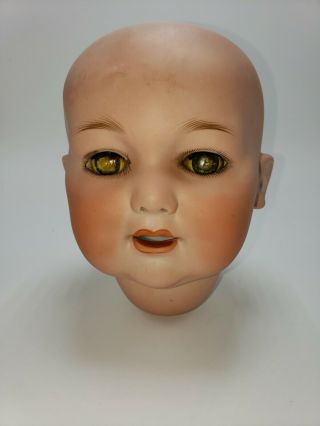 Antique Armand Marseille George Borgfeldt Mold 327 Baby Doll Bisque Head A 14 M 2
