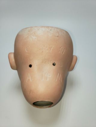 Antique Armand Marseille George Borgfeldt Mold 327 Baby Doll Bisque Head A 14 M 3