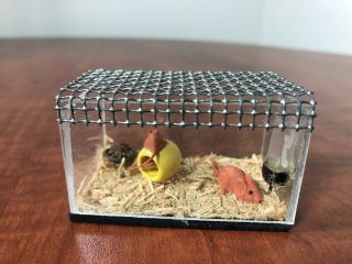 Dollhouse Miniature “hamster Mouse Habitat / Terrarium / Cage” 1:12