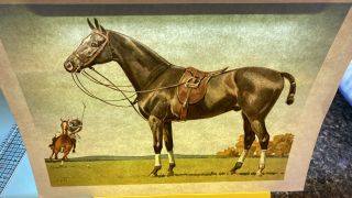 Rare Vtg Horse Polo Pony Equestrian Savitt Illustration Art Print