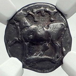 Byzantion In Thrace Authentic Ancient Silver Greek Coin Cow Dolphin Ngc I77487