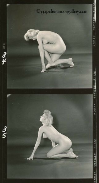 1950s Bunny Yeager Contact Sheet Photo 12 Frames Lucy Baron Nude Figure Study 3