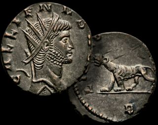 Gallnieus Roman Emperor / Panther 253 - 268 Ad / Æ Antoninianus Coin,  Ggcoins