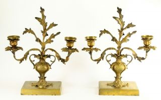 = Antique 19th C.  Double Candelabras Gilt Bronze Bronze Dore Vase Shaped