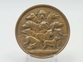 Antique Vintage Bronze Medal Canine Dog Show Award Token