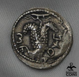 132 - 135 Judea Bar Kochba Revolt Uprising Silver Denarius Coin Grapes Kithara