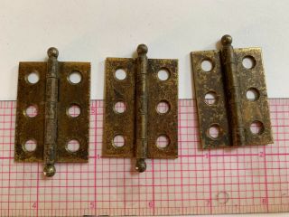 Pair,  Of Vintage Salvage Heavy Brass Cannonball Hinges 1.  75 " X 1.  25 "