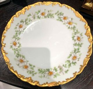 Antique Limoges T&v France Depose Hand Painted Daisies Plate Gold Encrusted 9.  25