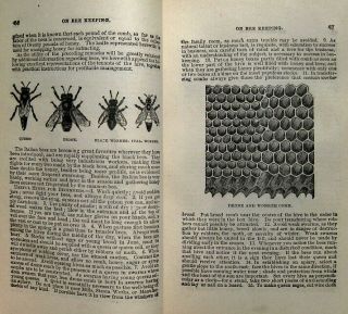 1879 ANTIQUE COOKBOOK FARM GUIDE HOME MEDICAL BEES SOAP WOOD METAL WORK MECHANIC 5