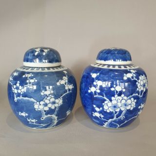 (a) Large Antique Chinese 19th C Kangxi Style Blue & White Prunus Jars