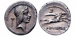 Ac Cbd Ancient Calpurnius Piso Frugi Ar Denarius 67 Bc Coin 3.  7g 18mm