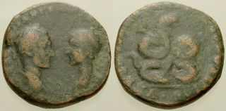 038.  Roman Bronze Coin.  Macrinus & Diadumenian.  Ae - 25.  Coiled Serpent.  Afine