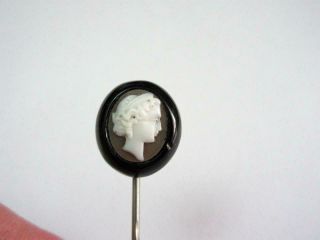 Antique Victorian Carved Whitby Jet & Shell Cameo Stck Pin