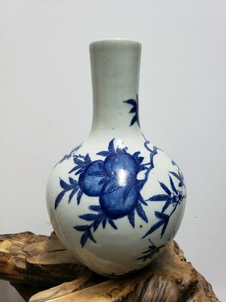 Fine Chinese Blue & White Porcelain Vase (qianlong Period Nine Peaches)