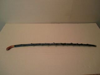 Vintage Blackthorn Irish Shillelagh Walking Stick Cane 34.  5  6
