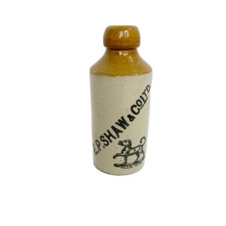 Vintage Antique Stoneware E.  P.  Shaw & Co Ltd Ginger Beer Bottle Jug Great Cond.