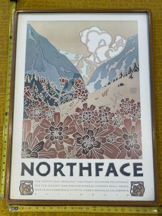 Vintage The North Face David Lance Goines 1980 Mountain Flower Poster Ad Print