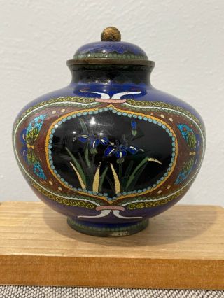 Antique Japanese Meiji Period Cloisonne Jar / Vase W/ Butterflies & Flowers Dec.