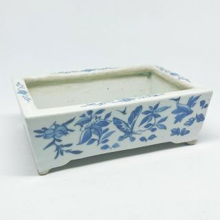 Antique Chinese Blue And White Reticulated Narcissus Bonsai Planter Butterfly