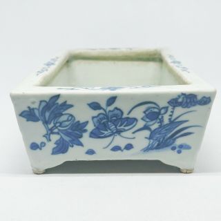 ANTIQUE Chinese BLUE AND WHITE RETICULATED NARCISSUS Bonsai PLANTER Butterfly 2