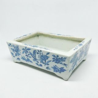 ANTIQUE Chinese BLUE AND WHITE RETICULATED NARCISSUS Bonsai PLANTER Butterfly 3