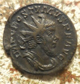 Postumus,  Usurper In Gaul Ad 260 - 269.  Lugdunum Antoninianus,  Herc Pacifero