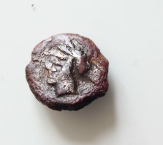 Carthage C.  350 - 320 Bc Ae Bronze,  16mm,  3,  3g,  Palm / Horse / Tanit Double Strike