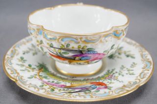 Porcelaine De Paris Hand Painted Chelsea Bird Floral Gold Quatrefoil Tea Cup A