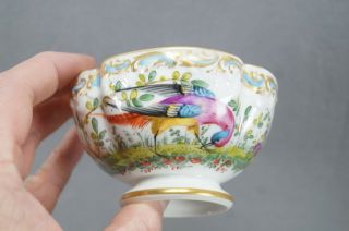 Porcelaine de Paris Hand Painted Chelsea Bird Floral Gold Quatrefoil Tea Cup A 4
