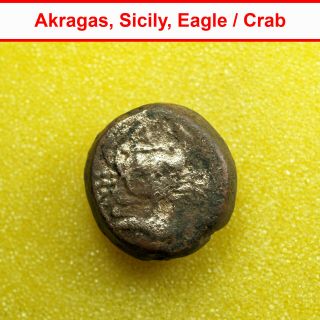 01566 Ancient Greek Coin Akragas Sicily Ae22mm Eagle Hare / Crab Crayfish