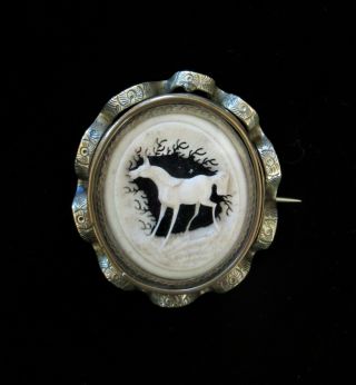 Large Antique Victorian Pinchbeck Swivel Cameo Horse/photo Mourning Brooch Pin