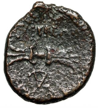 Rare Greek Coin Of Seleukia Pieria In Syria " Zeus Portrait & Thunderbolt " W