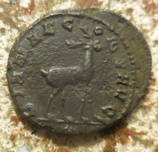 Gallienus Antoninianus,  Rome,  253 - 268 Ad; Zoo Series Stag: 22.  5 Mm,  3.  83 G,