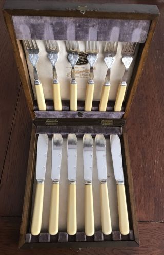 Vintage Humphreys Silver Plate Epns Faux Bone Fish Fork And Knife Set Wooden Box