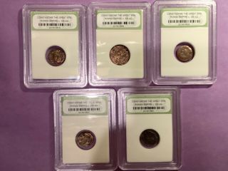 5 Slabbed Ancient Roman Constantine The Great Coins Quality C 330 Ad B20