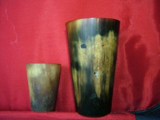 Scottish Cow Horn Cups Beakers Antique 4 1/2 " And 2 1/2 " C1885 Vgc Vessels