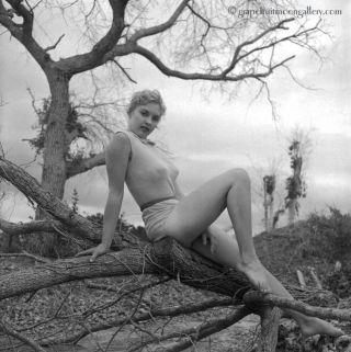 Bunny Yeager Pin - Up Camera Negative Photograph Lovely Figure Model 