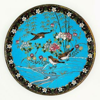 Japanese Meiji Period Cloisonne Dish / Plate Birds Flowers C1900 11 Inches