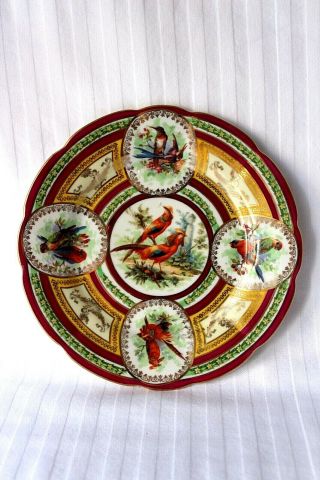 Antique Vienna Imperial Crown Porcelain Ornithological Cabinet Plate 1880 - 1900