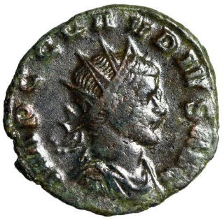 Portrait Claudius Ii Gothicus Roman Coin " Radiate " Glossy Patina With