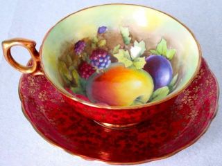 Hammersley & Co Antique Burgundy Red Gold Chintz Orchard Fruit Artist Signed Cup