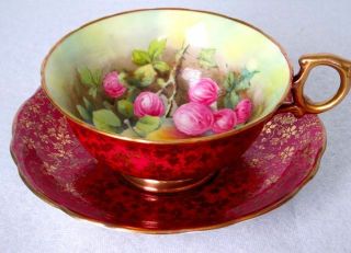 Hammersley & Co Antique Burgundy Red Gold Chintz Orchard Fruit Artist Signed Cup 2