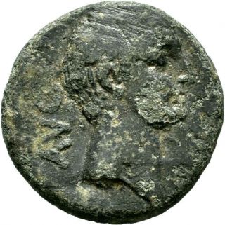 Lanz Rome Empire Macedon Philippi Augustus Oxen Bronze ^rbr1678
